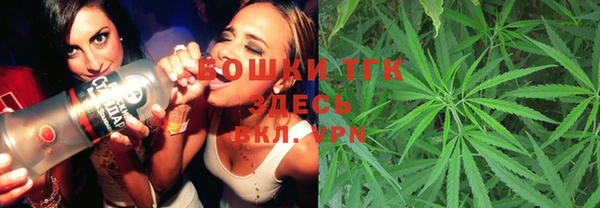 шишки Богородицк