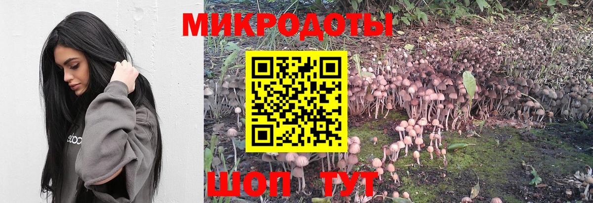 Галлюциногенные грибы MAGIC MUSHROOMS  Вход с VPN  Псилоцибиновые грибы GOLDEN TEACHER  Невинномысск 