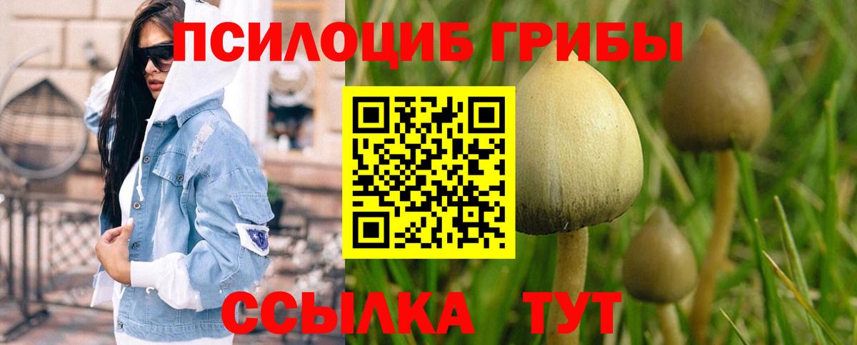 Псилоцибиновые грибы GOLDEN TEACHER Невинномысск